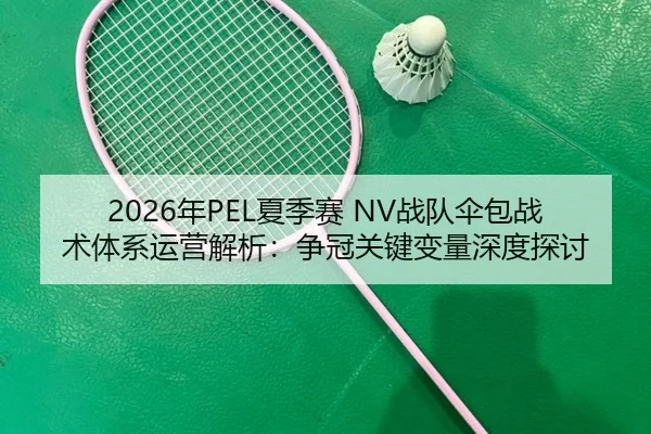 2026年PEL夏季赛 NV战队伞包战术体系运营解析：争冠关键变量深度探讨